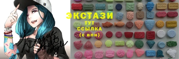 дмт Богородск