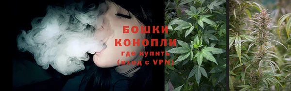 дмт Богородск