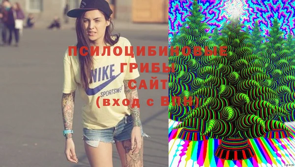 героин Богданович