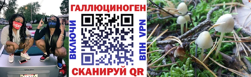 Псилоцибиновые грибы MAGIC MUSHROOMS  Комсомольск-на-Амуре 